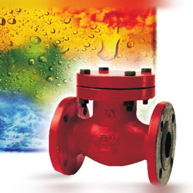 Red cast flanged bolted-cover check valve