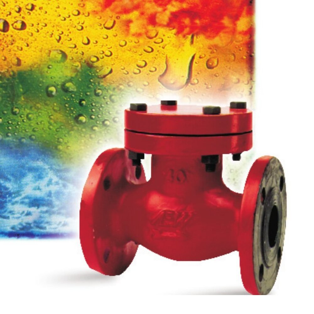 AEW cast steel flanged bolted-cover check valve
